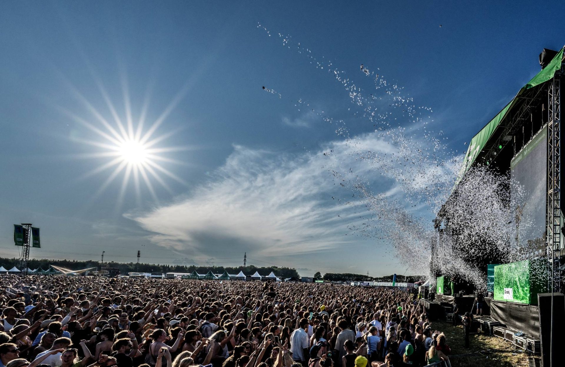 grøn sol publikum Rygaard